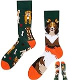 TODO Colours Lustige Socken mit Motiv - mehrfarbige, bunte, Verrückte für Herren und Damen (39-42, Dogs Life)