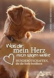 Was dir mein Herz noch sagen wollte: Hundebotschaften, die die Seele berühren