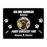 Hunde Schild personalisiert - Ich bin harmlos, aber Vorsicht vor - Metallschild mit Foto und Name für außen, wetterfestes Türschild für Hundebesitzer - DIN A5-21 x 15 cm, ein Tier, schwarz