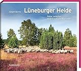 Lüneburger Heide: Natur zwischen Heidekraut und Wacholder