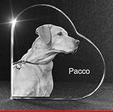 VIP-LASER 2D Gravur Glasherz L mit Deinem Hundefoto Hund graviert!. Dein Wunschfoto für die Ewigkeit mitten in Glas! Groesse L = 60x60x19mm