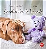 Ziemlich beste Freunde Postkartenkalender 2024. Postkarten-Fotokalender mit Hunden und ihren Lieblingsstofftieren. Kleiner Kalender voll süßer Bilder und lustiger Sprüche.: Für immer dein