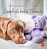 Ziemlich beste Freunde Postkartenkalender 2024. Postkarten-Fotokalender mit Hunden und ihren Lieblingsstofftieren. Kleiner Kalender voll süßer Bilder und lustiger Sprüche.: Für immer dein