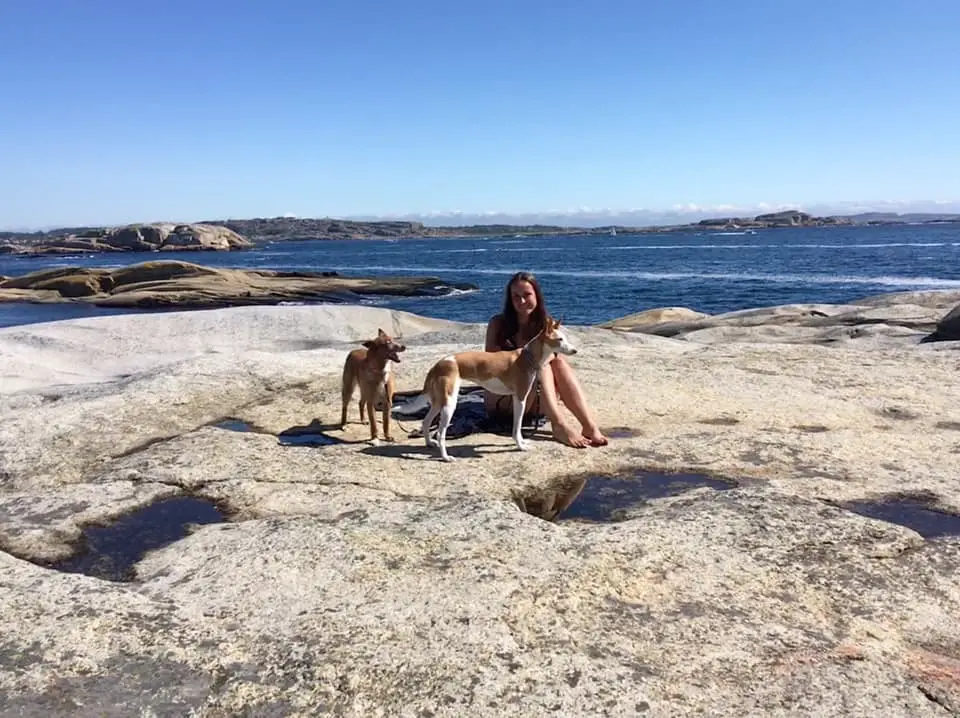 Im Urlaub in Norwegen mit Hund am Meer