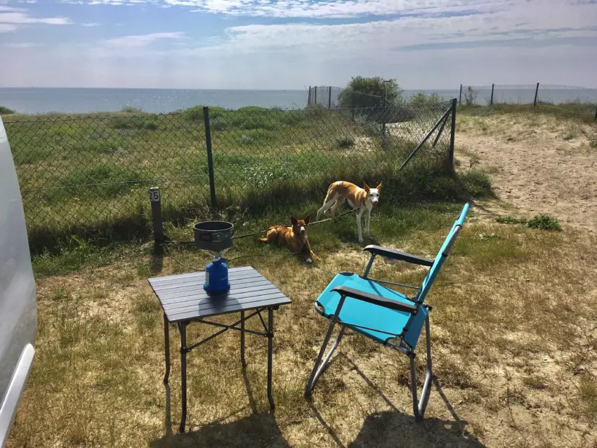 Camping auf Texel mit Hund ontourwithdogs.de