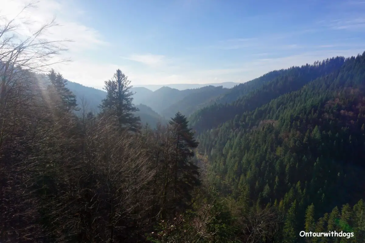 25 Ausflugsziele Im Wunderschönen Schwarzwald (mit Karte)