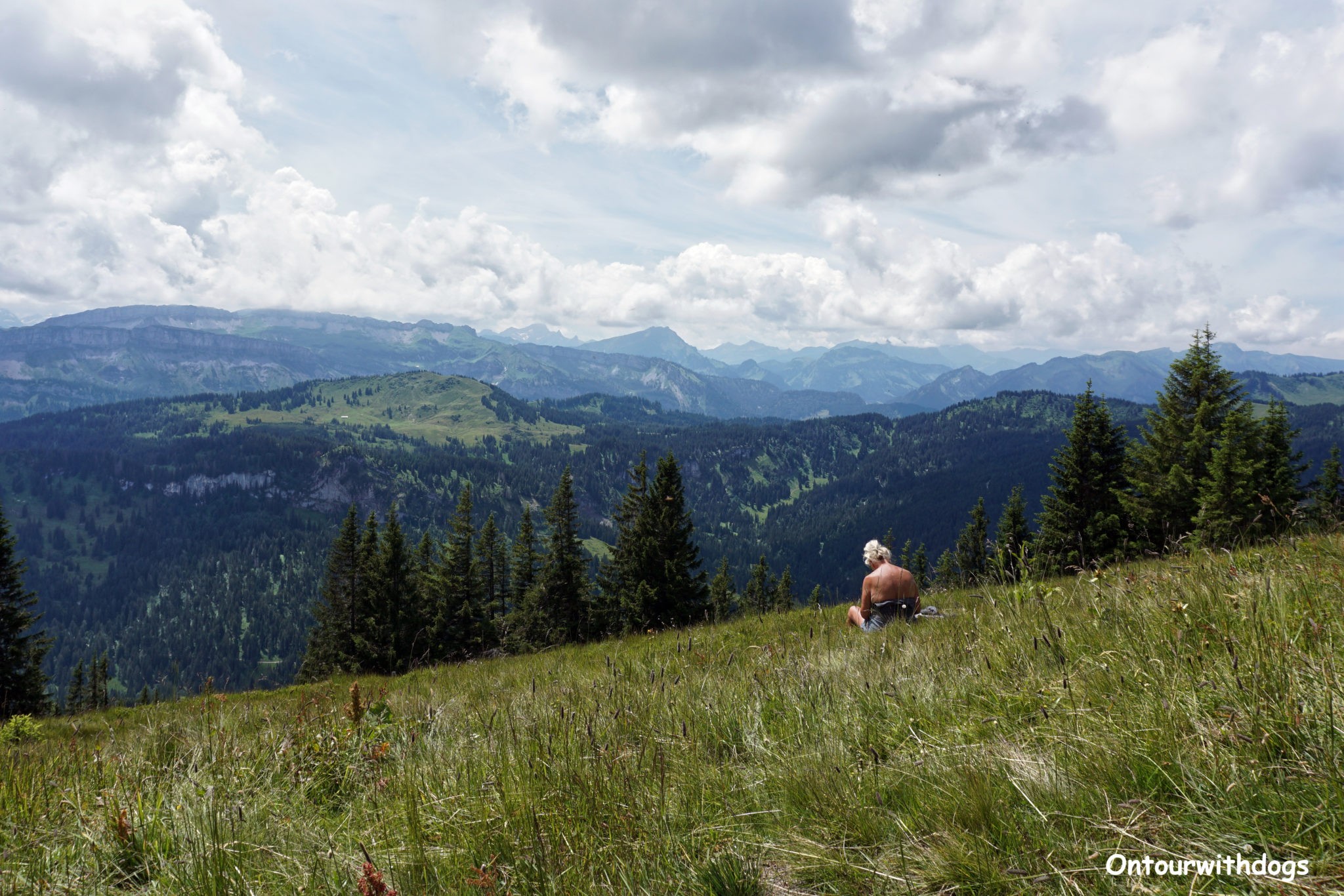 Wunderschönes Allgäu Camping am See mit Hund ontourwithdogs.de