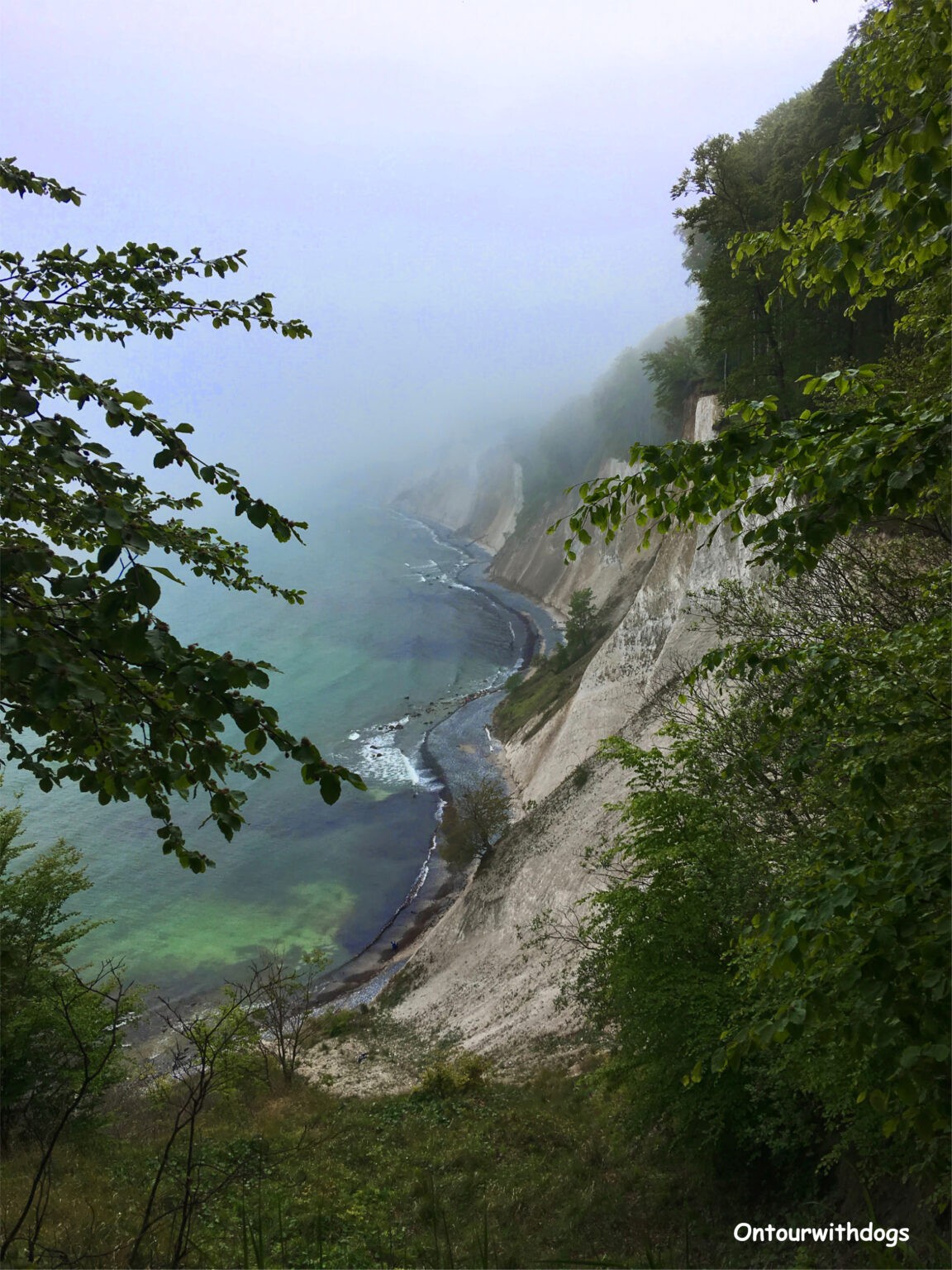 8 tolle Campingplätze auf Rügen direkt am Meer (mit Karte)