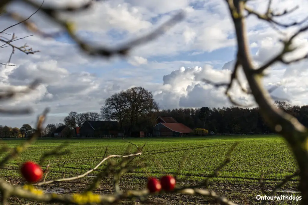 Wandern vorbei an typischen Bauernhäusern im Münsterland nahe der Klatenberge Telgte