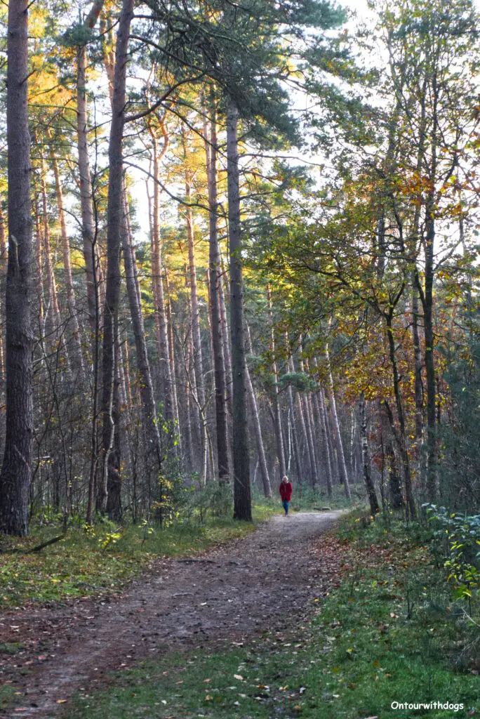 Wanderwege in den Klatenberge in Telgte