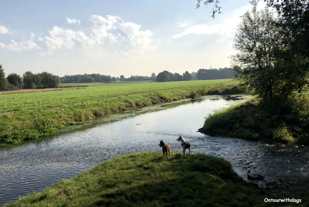 An der Bever auf der Wanderung in Telgte