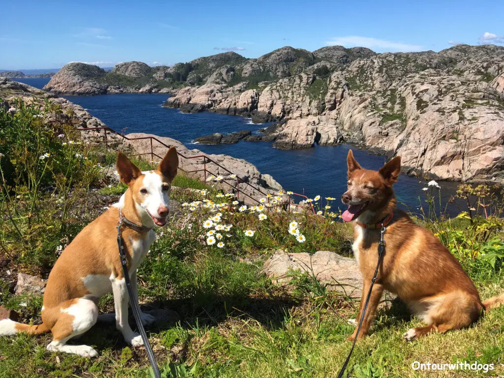 Ausblick auf die Südküste von Norwegen am Leuchtturm Lindesnes