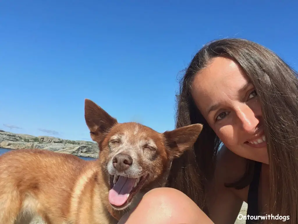 Hund und Mensch glücklich an der Südküste von Norwegen