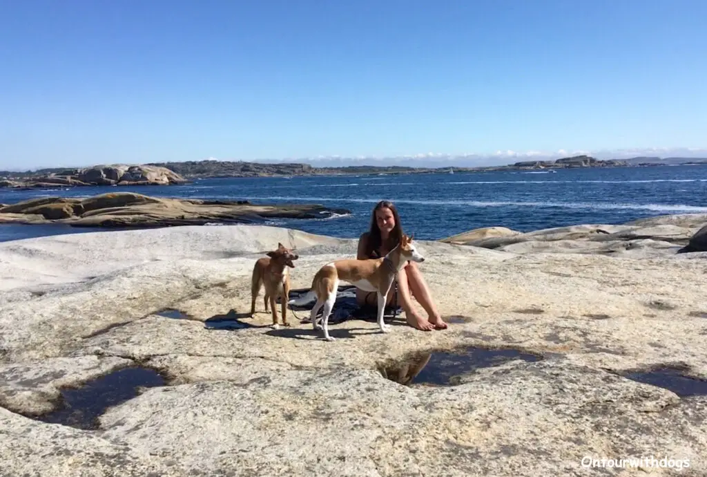 Dei Seele baumeln lassen auf einem Ausflug mit Hund zum Meer in Norwegen