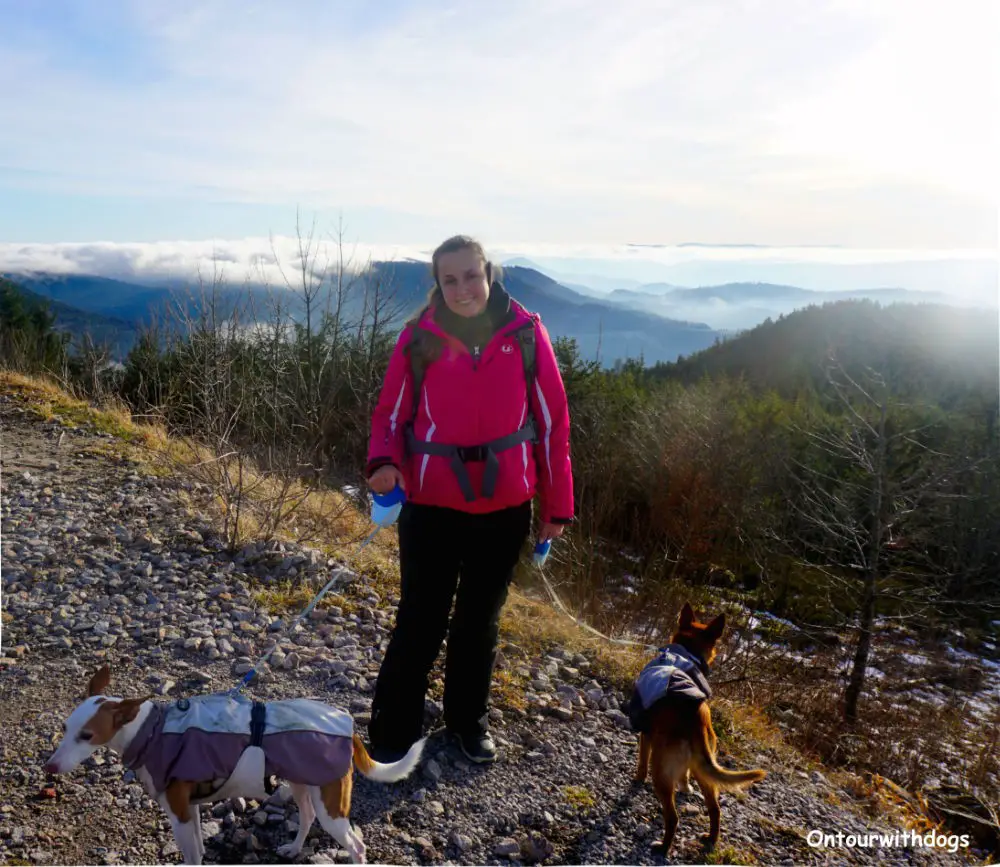 Auf dem Gipfel der Hornisgrinde - Winterurlaub mit Hund im Schwarzwald 