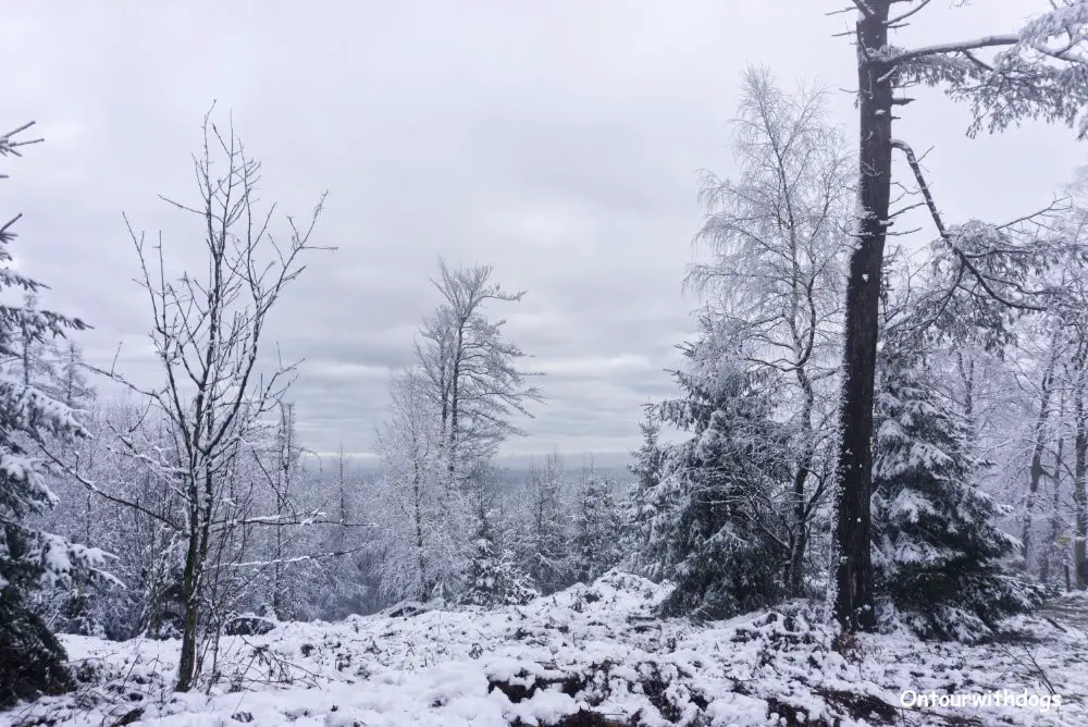 Beschränkte Aussicht auf dem Dörenberg in Bad Iburg beim Wandern