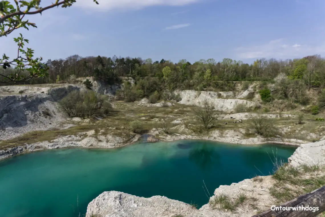 Waldhügel Rheine mit Kalksee
