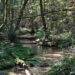 Furlbachtal