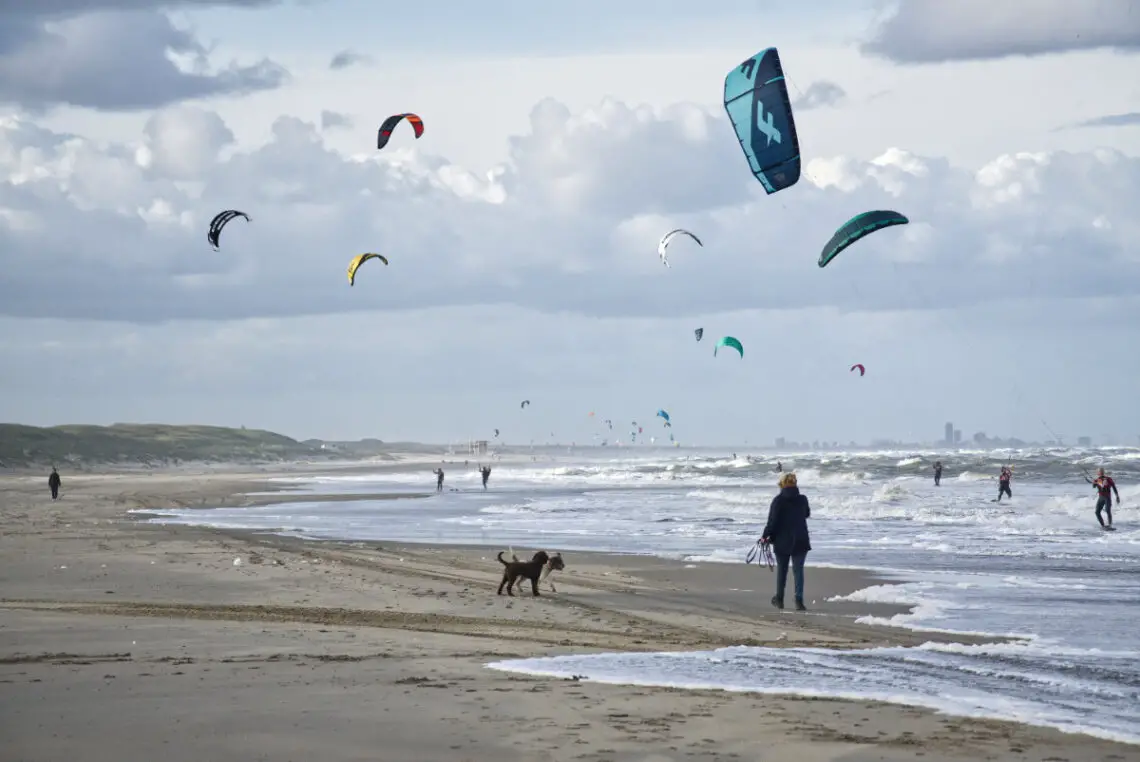 Spazieren am Hundestrand Noordwijk