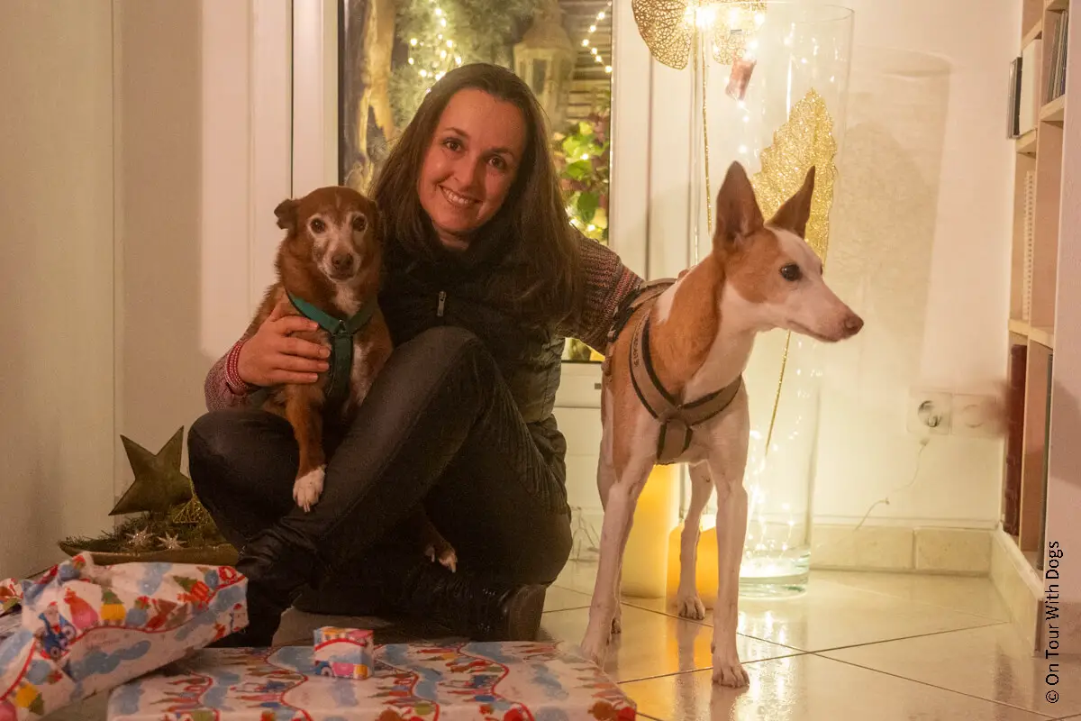 88 Geschenke für Hundebesitzer mit Wau-Effekt