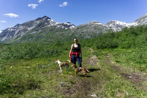 Mit Hund unterwegs in einer Pause bei meiner Norwegen Rundreise 2 Wochen