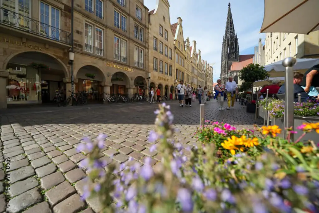 Prinzipalmarkt in der schönen Stadt Münster in NRW