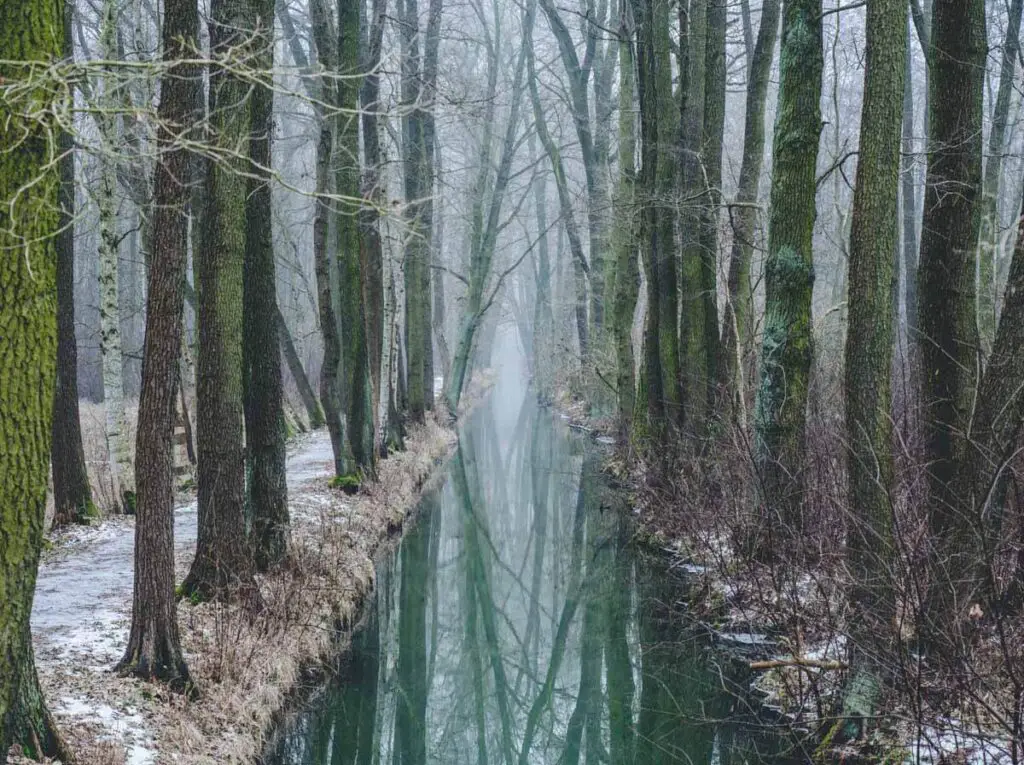 Frostige Wasserkanäle im Spreewald