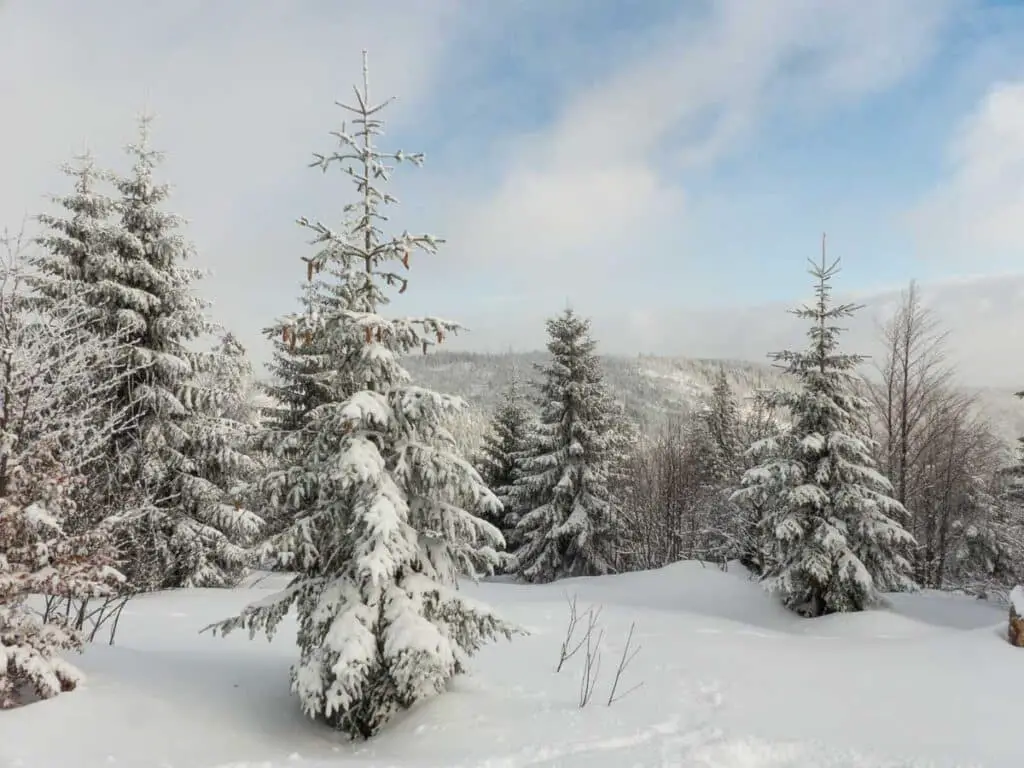 Der Bayrische Wald ist auch im Winter schön