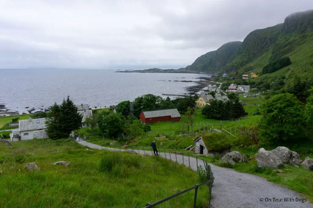 Vogelinsel Runde in Fjordnorwegen