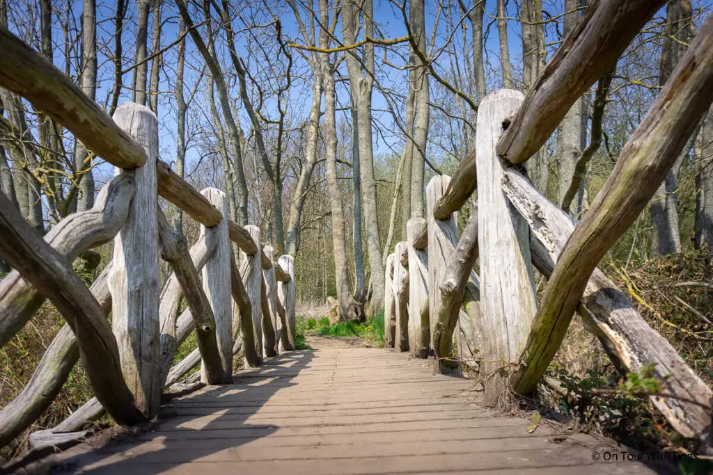 Holzbrücke in der Geltinger Birk auf den Wanderwegen
