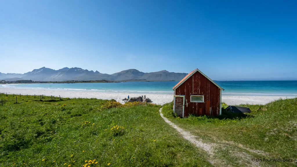 Sehenswürdigkeiten Lofoten: Rambergstranda mit Fotospot rote Hütte