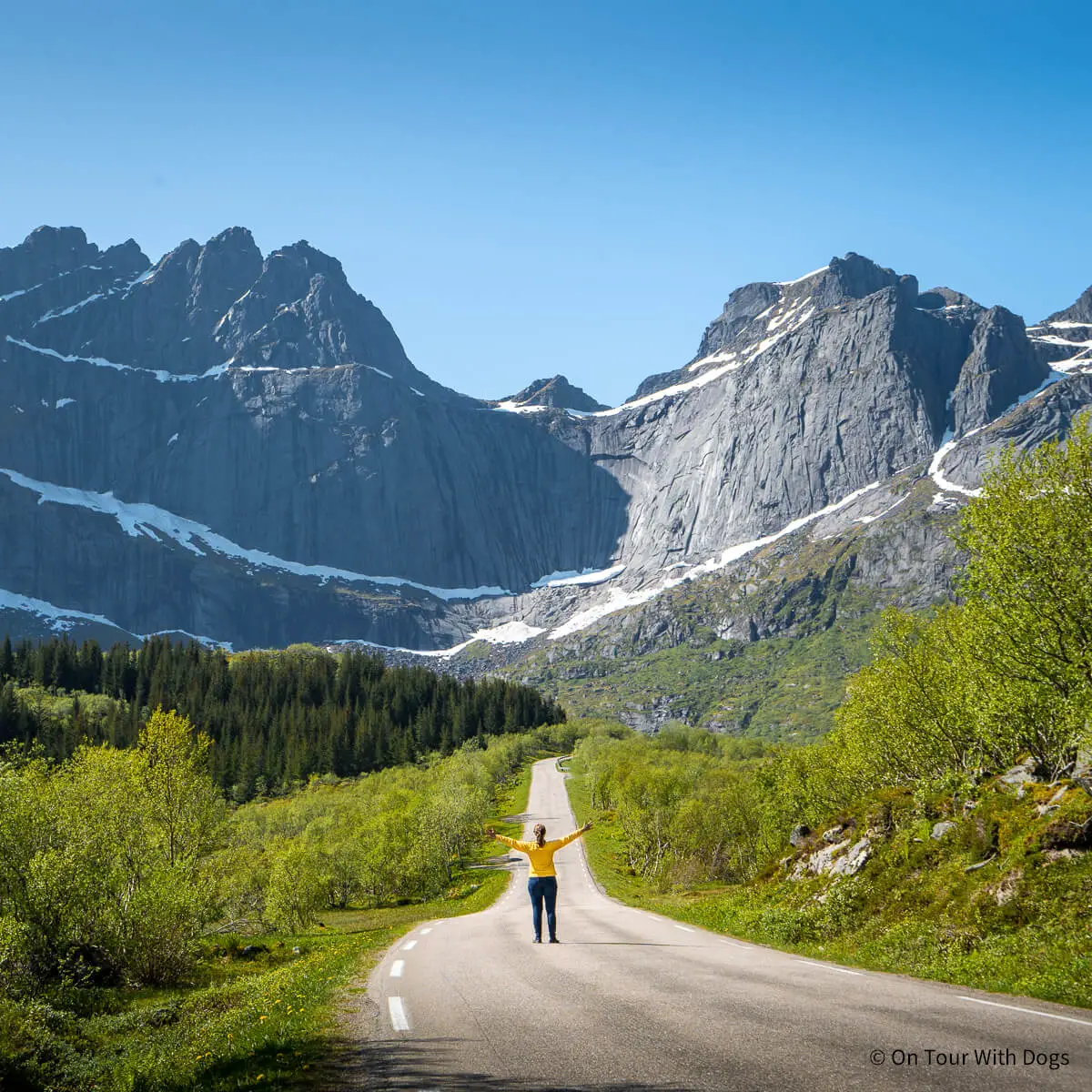 Lofotenstraße: die gerade Straße Richtung Nusfjord