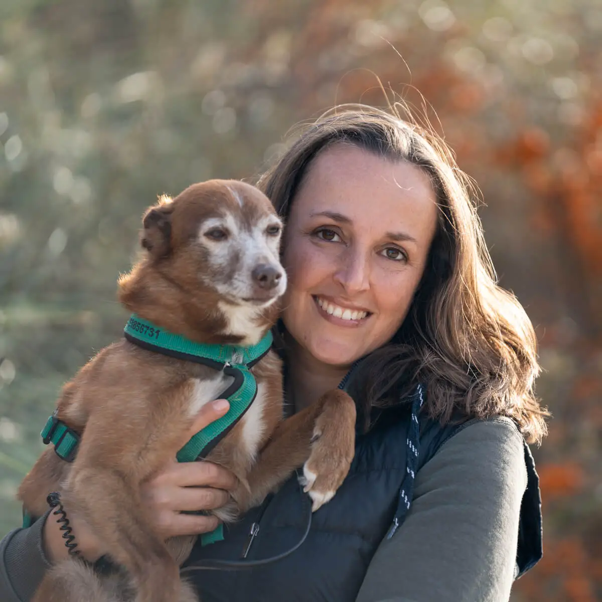 Gutschein für ein Fotoshooting mit Hund als Geschenk