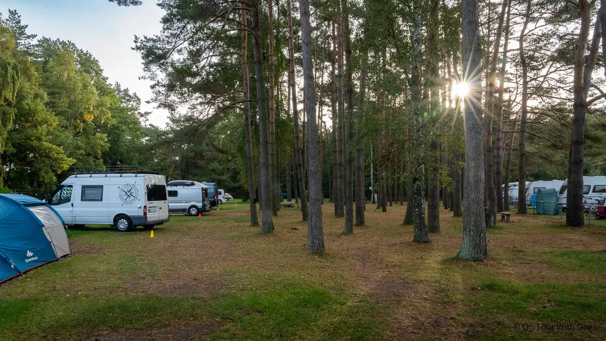 Camping Darß Campingplatz Neuhaus