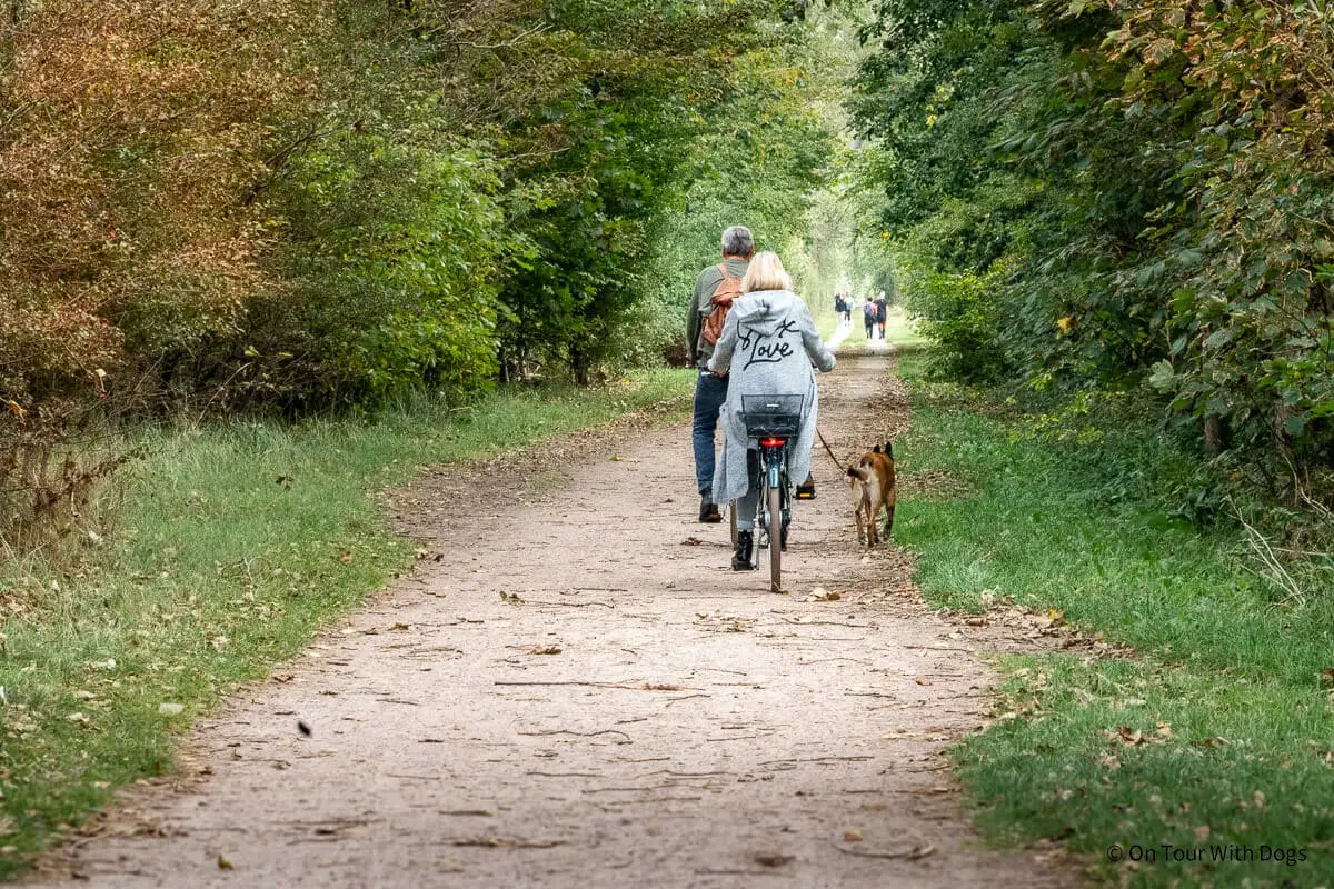 Fahrradfahren in Wustrow mit Hund