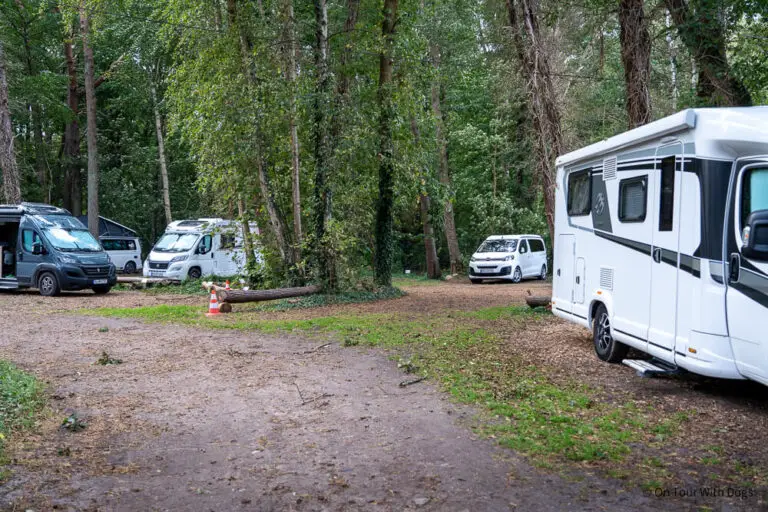 Camping Darß - Die 5 beliebtesten Campingplätze mit Hund