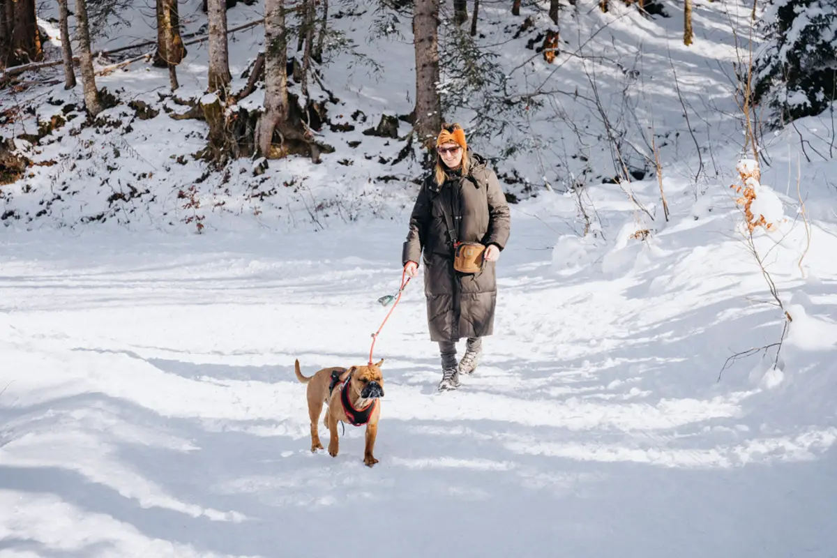Engelstock Rundweg im Winterurlaub mit Hund in der Schweiz